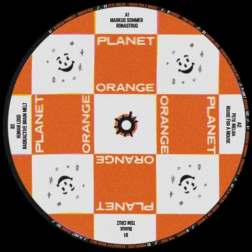 ( PLO 001 ) VARIOUS (Markus Sommer, Pete Melba...) Plastic Goose EP (12" Vinyl ) Planet Orange Records