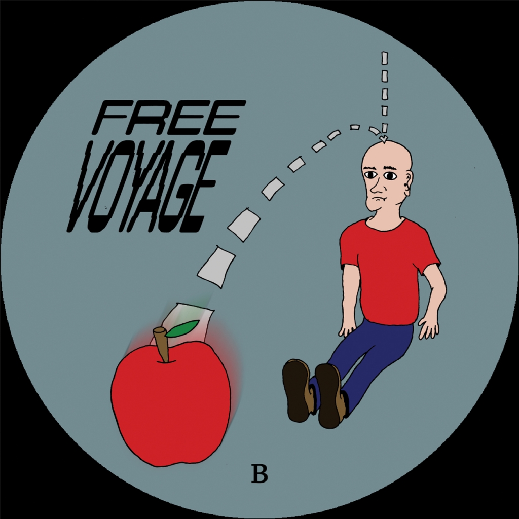 ( VOYA 004 ) BOWYER – Friends of gravity EP (12″) Freevoyage