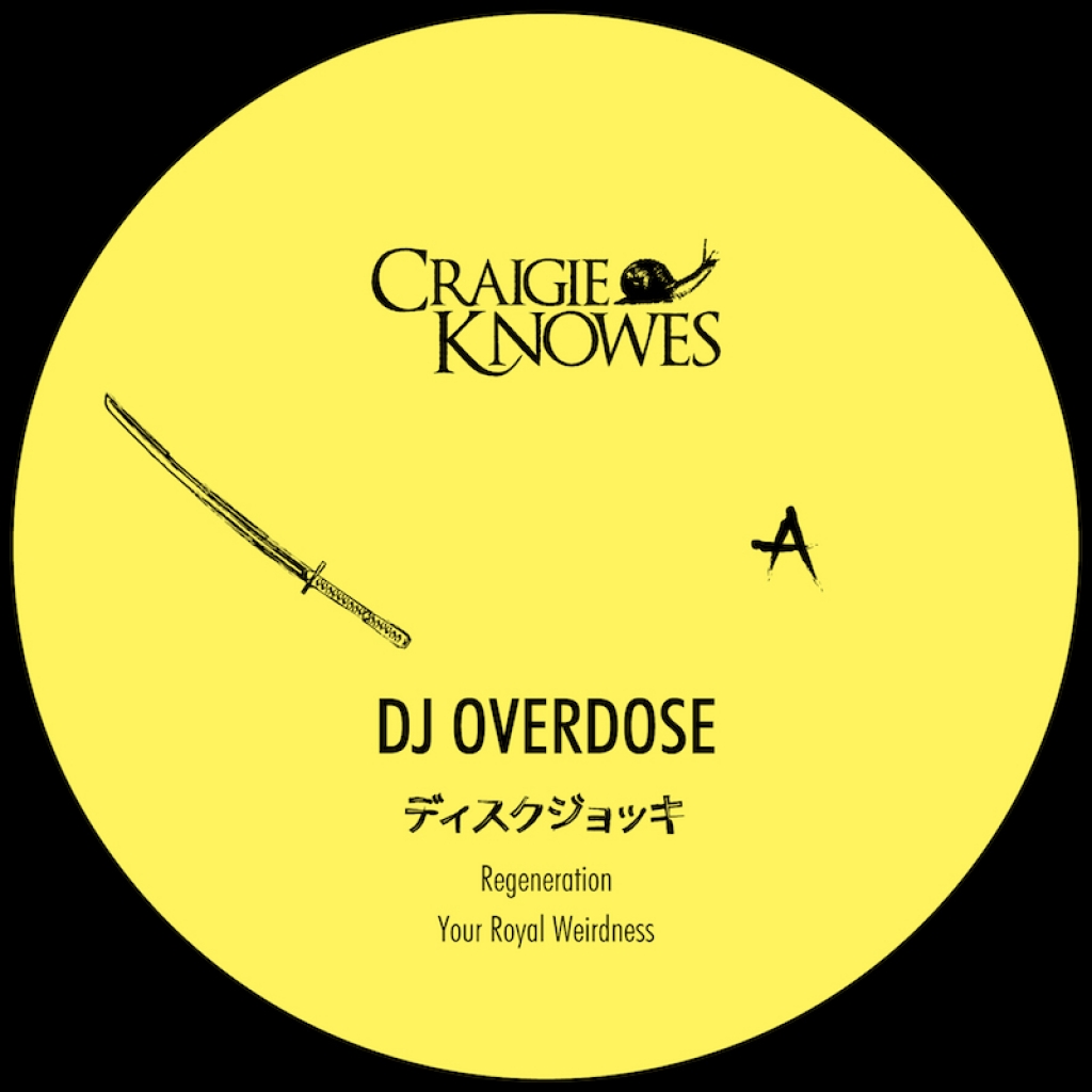 ( CKNOEP 4 ) DJ OVERDOSE - Mindstorm EP ( 12" ) Craigie Knowes