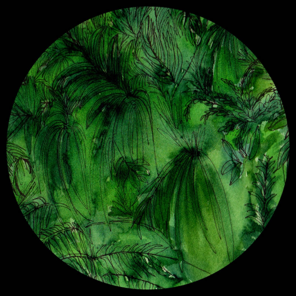 ( ATRRLTD 01 ) JESSE BRU - Rainforest ( 12" vinyl ) Aterral