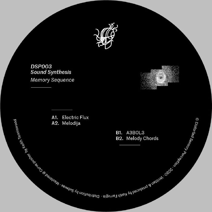 ( DSP 003 ) SOUND SYNTHESIS - Memory Sequence (12") Distorted Sensory Perception