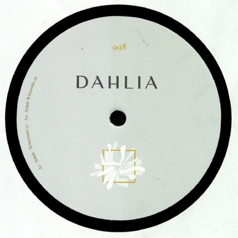 ( DAHLIA 998 ) SOLAH - DAHLIA 998 (12") Dahlia Barcelona