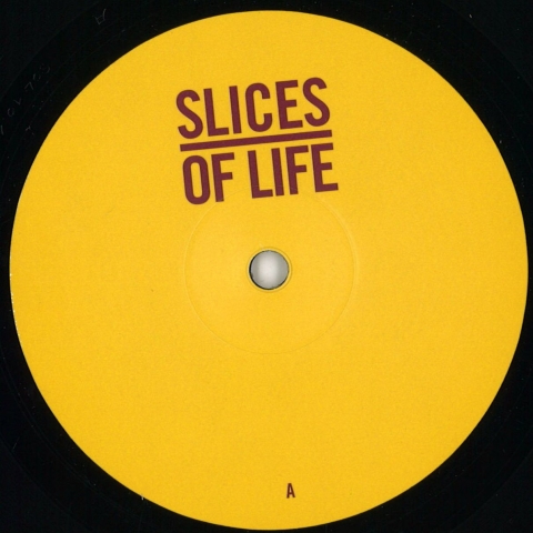 ( SOL 10.1 ) The MOLE / BAAZ / DANA RUH / JOHN TEJADA - Slices Of Life 10.1 (12") - Slices Of Life Germany