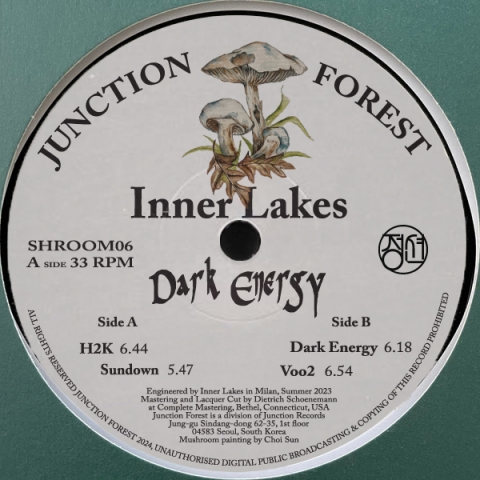 ( SHROOM 06 ) INNER LAKES - Dark Energy-one x buyer ( 12" ) Junction Forest