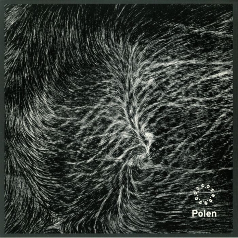 ( POL 009 ) Ewan JANSEN / DEREK CARR - POL 009 (180 gram vinyl 12") - Polen Germany