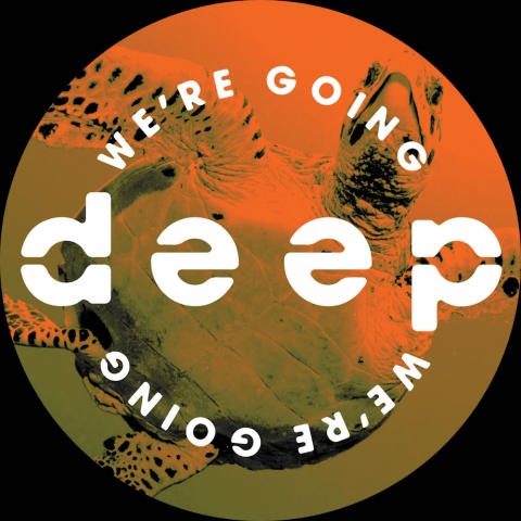 ( WGD 005 ) V.A. - Volume 5 ( 12" vinyl ) We're Going Deep