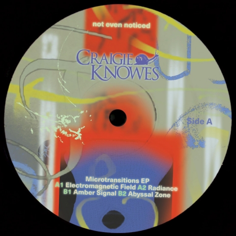 ( CKNOWEP 49 ) NOT EVEN NOTICED - Microtransition EP ( 12" ) Craigie Knowes