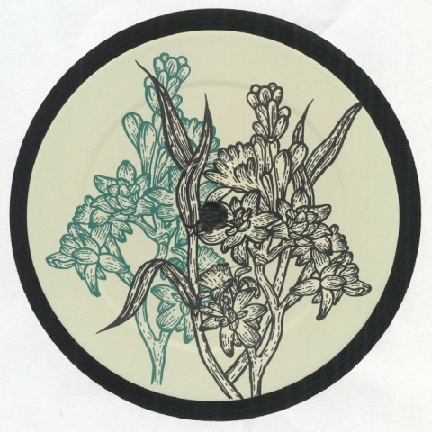 ( STLR 001 )  LUNA LUDMILA - Trip On My Own EP (12") Stately Netherlands