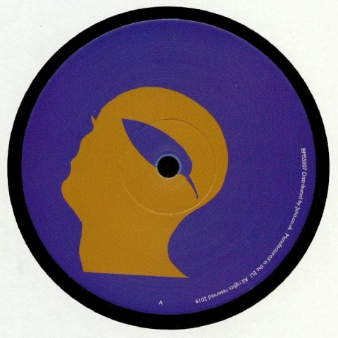 ( BMSS 007 ) UNKNOWN - Botanic Minds Sunset Series (180 gram vinyl 12") Botanic Minds