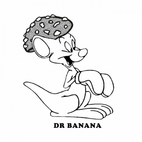 ( DRB 16 ) PARA - DRB 16 (hand-stamped 12" + insert) Dr Banana