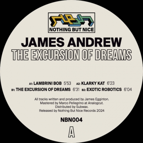 ( NBN 004 ) JAMES ANDREW - The Excursion Of Dreams ( 12" ) Nothing But Nice